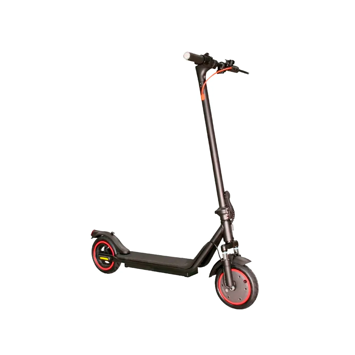 Scooter Scooty
